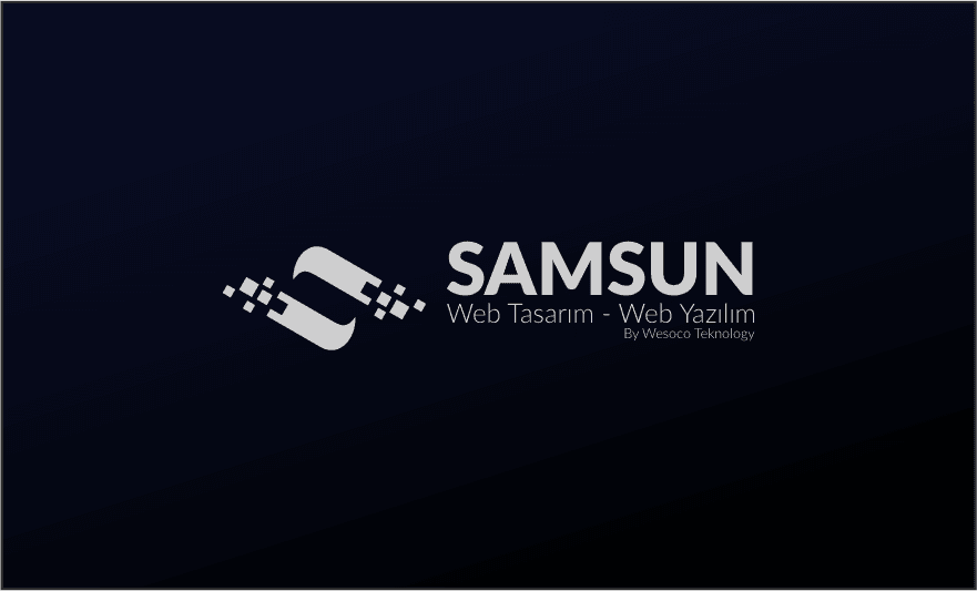 Samsun Web Yazılım Firması Seçerken Dikkat Edilmesi Gerekenler