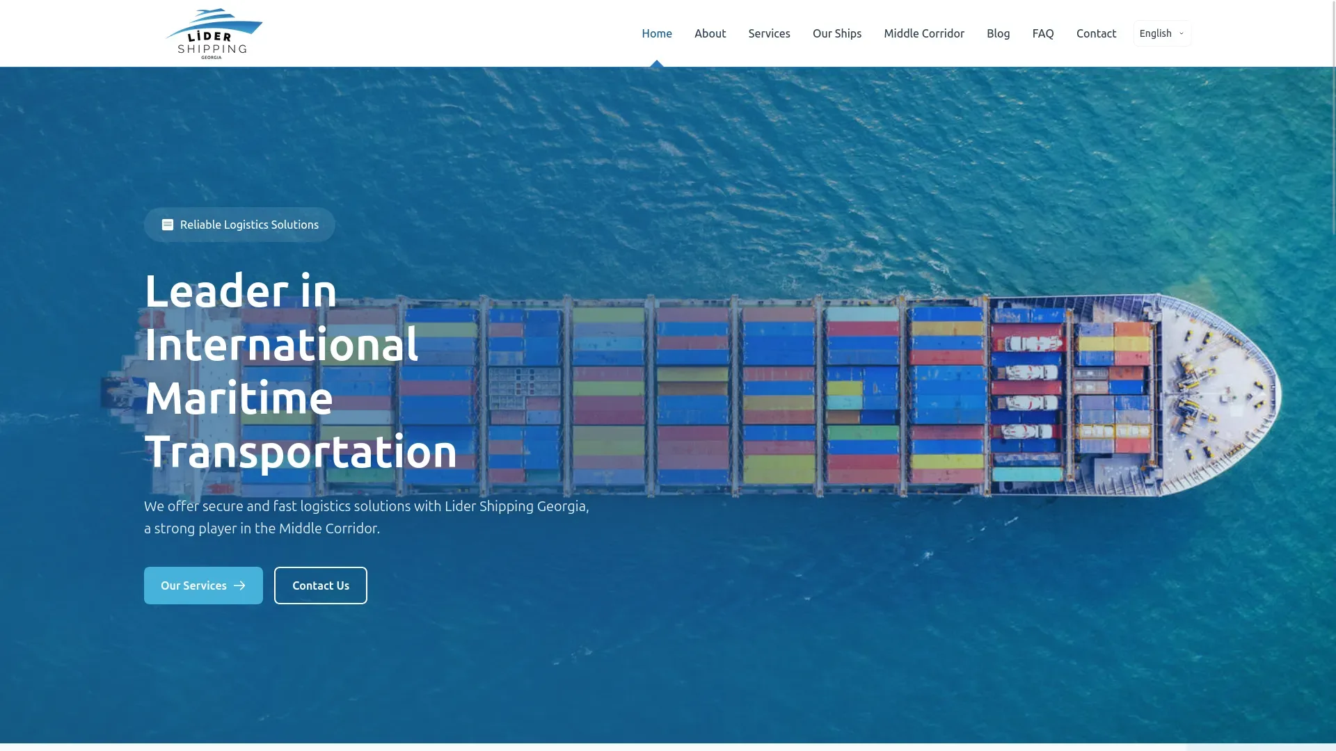 Lider Shipping web sitesi referansı